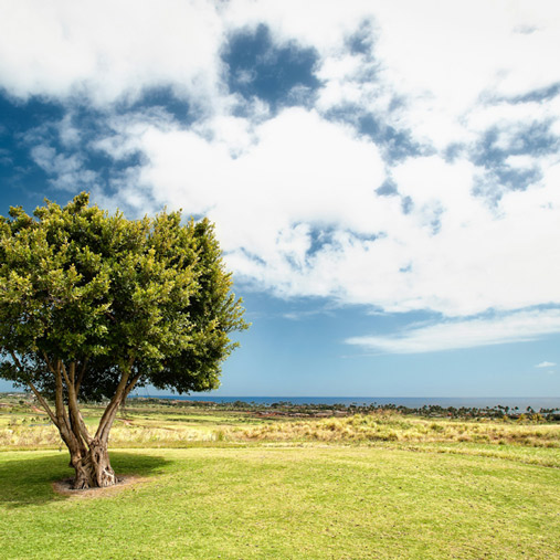 Invest in Agricultural Land Invest in Agricultural Land